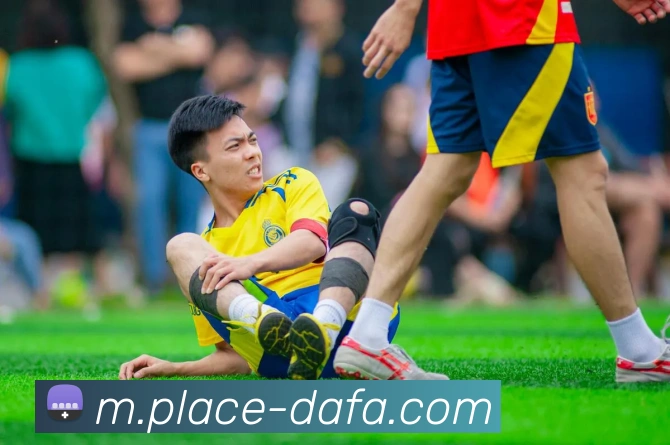 大发彩票平台生态图